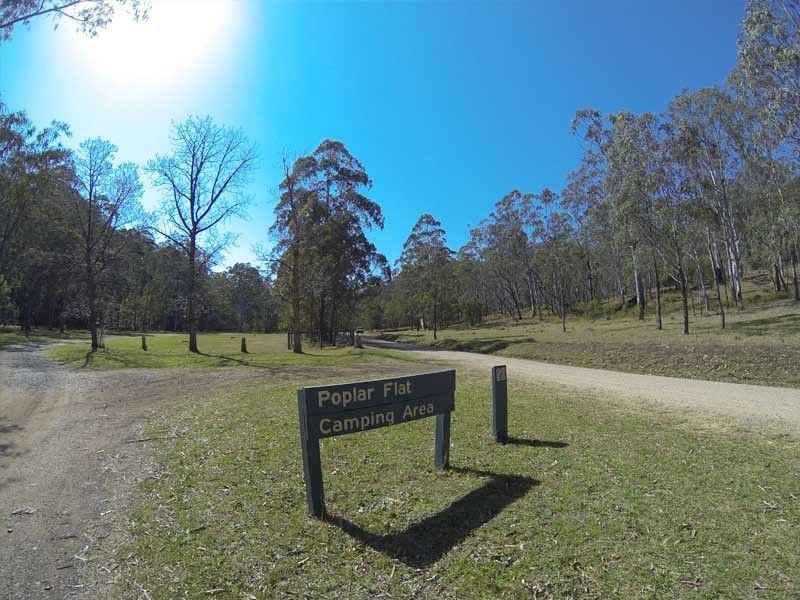 Poplar Flats Goomburra State Forest